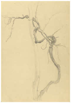 Visualizza l'immagine "FD D 1841"